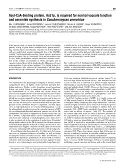 Acyl-CoA-binding protein, Acb1p, is required for normal vacuole