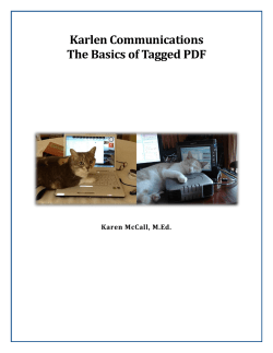 The Basics of Tagged PDF - Accessing Higher Ground