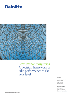 Performance ecosystems A decision framework to take