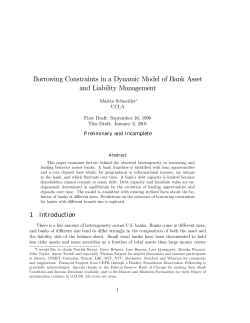 Borrowing Constraints in a Dynamic Model of Bank Asset