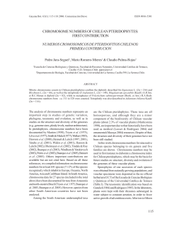 chromosome numbers of chilean pteridophytes: first