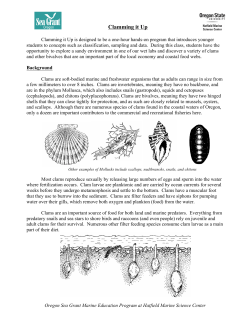 Clamming it Up - Hatfield Marine Science Center