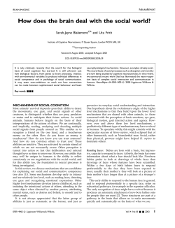 How does the brain deal with the social world?