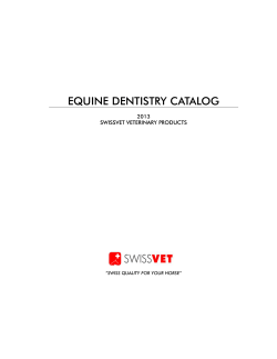 equine dentistry catalog