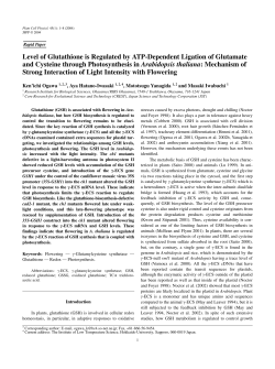 Level of Glutathione is Regulated by ATP