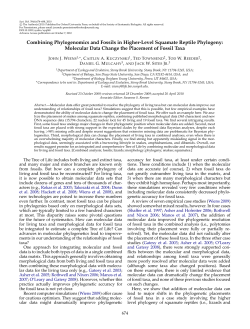 Molecular Data Change the Placement of Fossil Ta