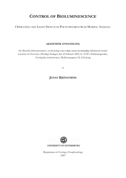 control of bioluminescence