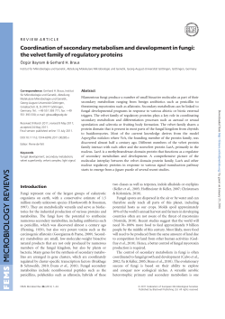 Coordination of secondary metabolism and development in fungi