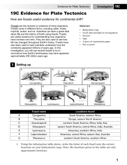 19C Evidence for Plate Tectonics