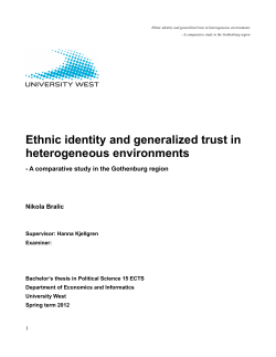 Ethnic identity and generalized trust in heterogeneous environments
