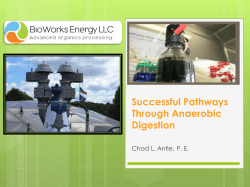 Successful Pathways Through Anaerobic Digestion