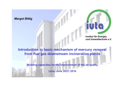 Introduction to basic mechanism of mercury removal from flue gas