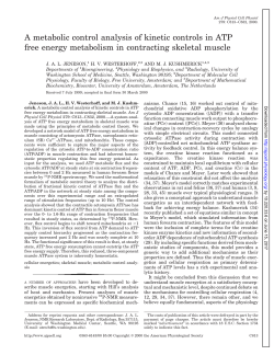 A metabolic control analysis of kinetic controls in ATP free energy