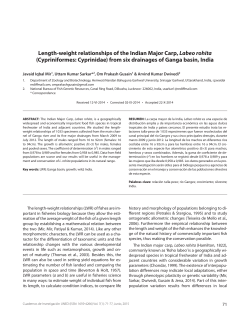 Length-weight relationships of the Indian Major Carp, Labeo rohita
