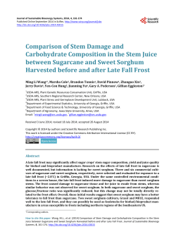 Comparison of Stem Damage and Carbohydrate Composition in the