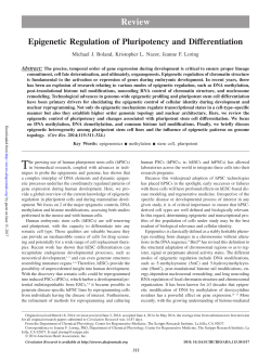Epigenetic Regulation of Pluripotency and Differentiation