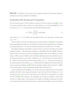Construction of the Alveolus and its Composition