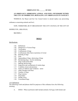 Ordinance Addressing Animals and Fowl Within