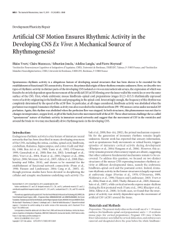 Artificial CSF Motion Ensures Rhythmic Activity in the Developing