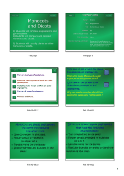 Monocots and Dicots - Thomas C. Cario Middle School