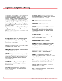 Signs and Symptoms Glossary