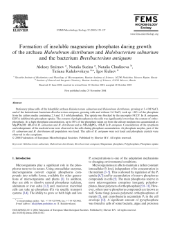 Formation of insoluble magnesium phosphates during growth of the