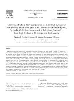 Growth and whole body composition of lake trout (Salvelinus