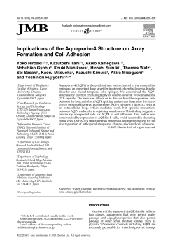 Implications of the Aquaporin-4 Structure on Array Formation and