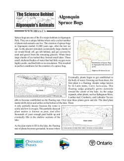 Algonquin Spruce Bogs - The Science Behind Algonquin`s Animals