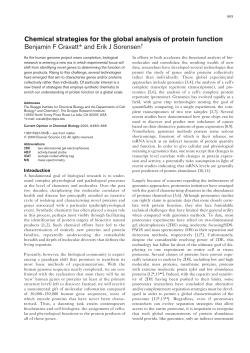 Chemical strategies for the global analysis of protein function
