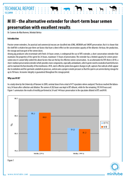 TECHNICAL REPORT M III - the alternative extender for