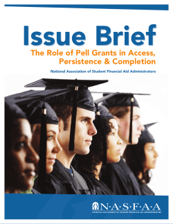 Issue Brief &mdash; The Role of Pell Grants in Access, Persistence