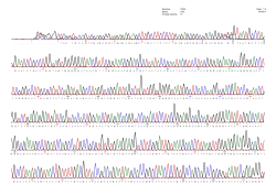hmx3_premix_jf7561_29