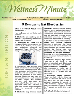 8 Reasons to Eat Blueberries