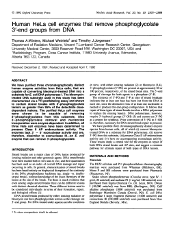 Human HeLa cell enzymes that remove