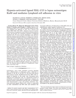 Hypoxia-activated ligand HAL-1/13 is lupus autoantigen - AJP-Cell