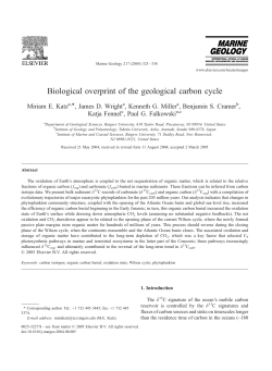 Biological overprint of the geological carbon cycle