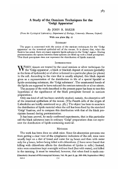 A Study of the Osmium Techniques for the `Golgi Apparatus` By