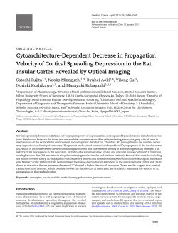 Cytoarchitecture-Dependent Decrease in