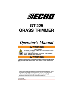 GT-225 Grass Trimmer