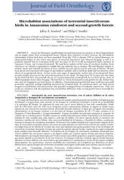 Microhabitat associations of terrestrial insectivorous birds in