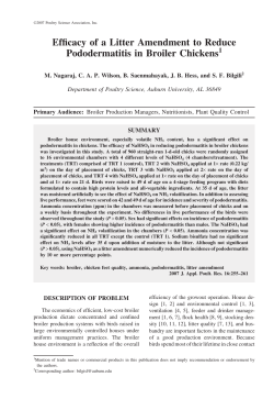Efficacy of a Litter Amendment to Reduce Pododermatitis in Broiler