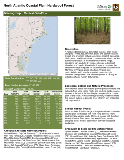 North Atlantic Coastal Plain Hardwood Forest