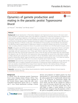 Dynamics of gamete production and mating in the parasitic protist