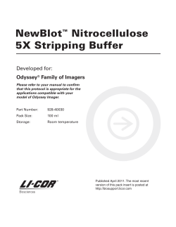 NewBlot&trade; Nitrocellulose 5X Stripping Buffer - LI