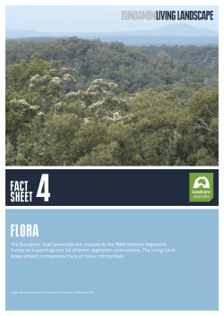 Fact Sheet 4: Flora
