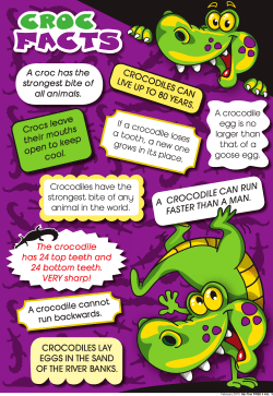 A croc has the strongest bite of all animals. A CROCODILE CAN