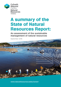 Summary - Natural Resources Wales