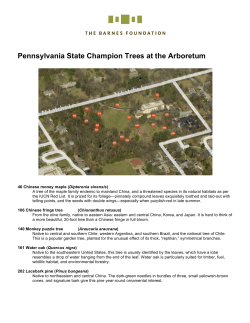 Pennsylvania State Champion Trees at the Arboretum