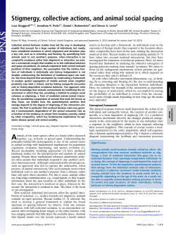 Stigmergy, collective actions, and animal social